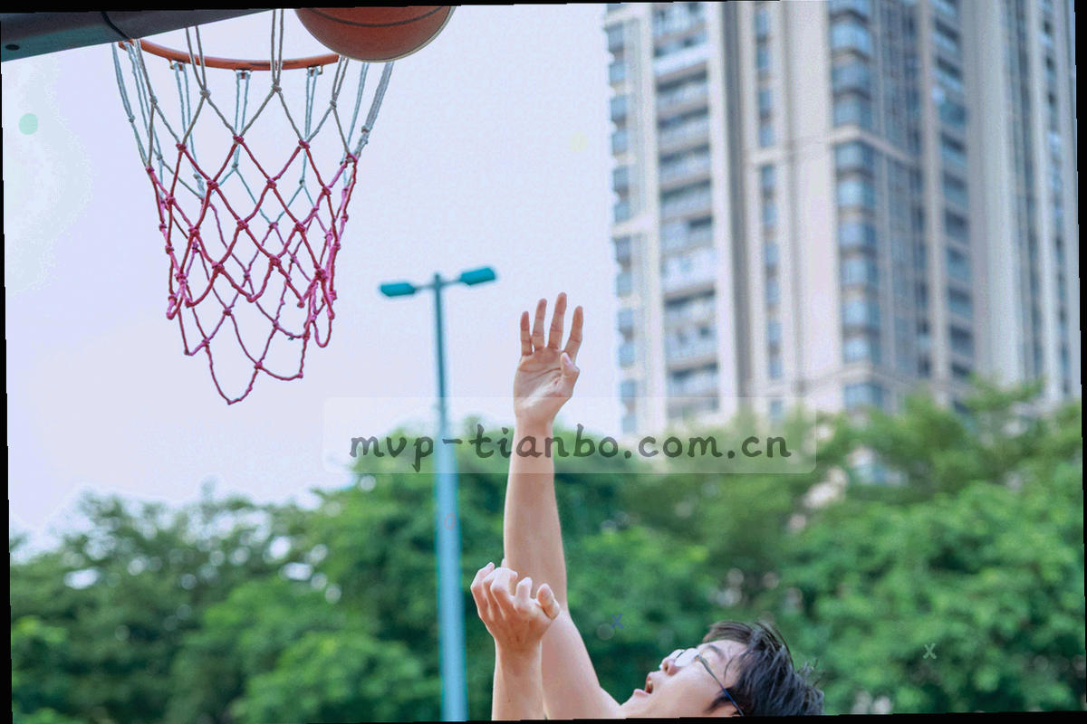 抽象的数据流示意图，若干线条从档案块流向终端与文件图标